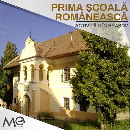 Mohost First - Mountain View Oasis