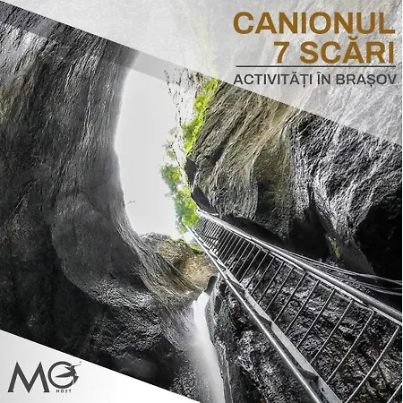 Mohost First - Mountain View Oasis Brasov