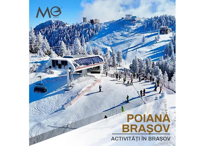 Mohost First - Mountain View Oasis *